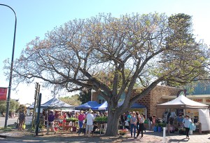 Willunga_Farmers_Market_6
